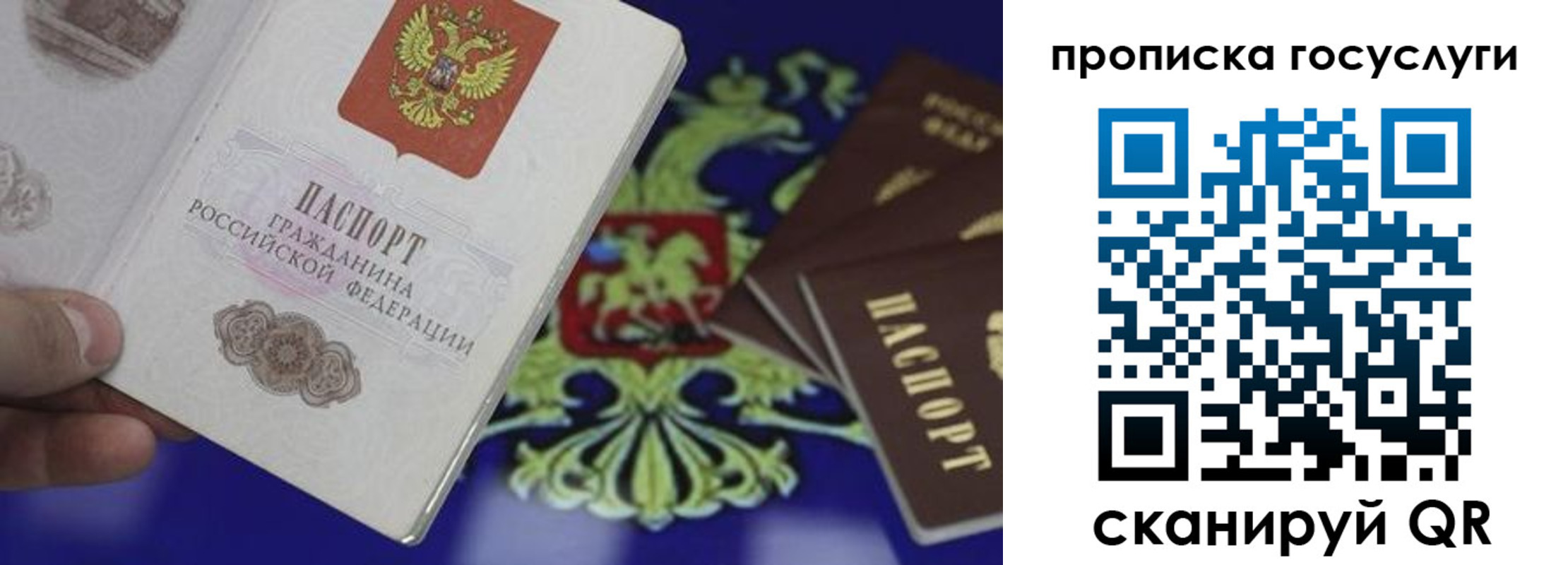 прописка для школы в Моздоке
